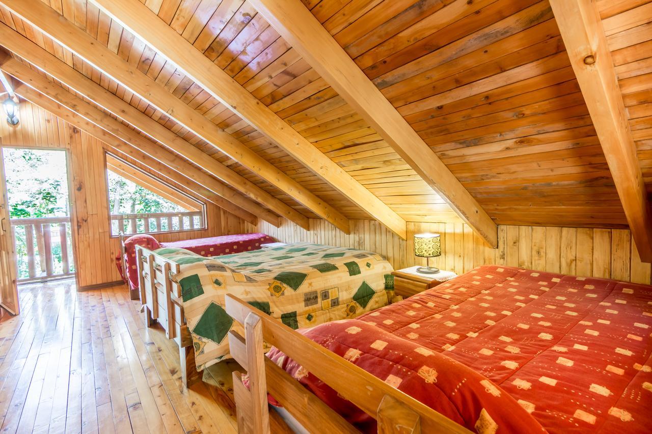 Sueños del Bosque Lodge San Gerardo de Dota Exterior foto