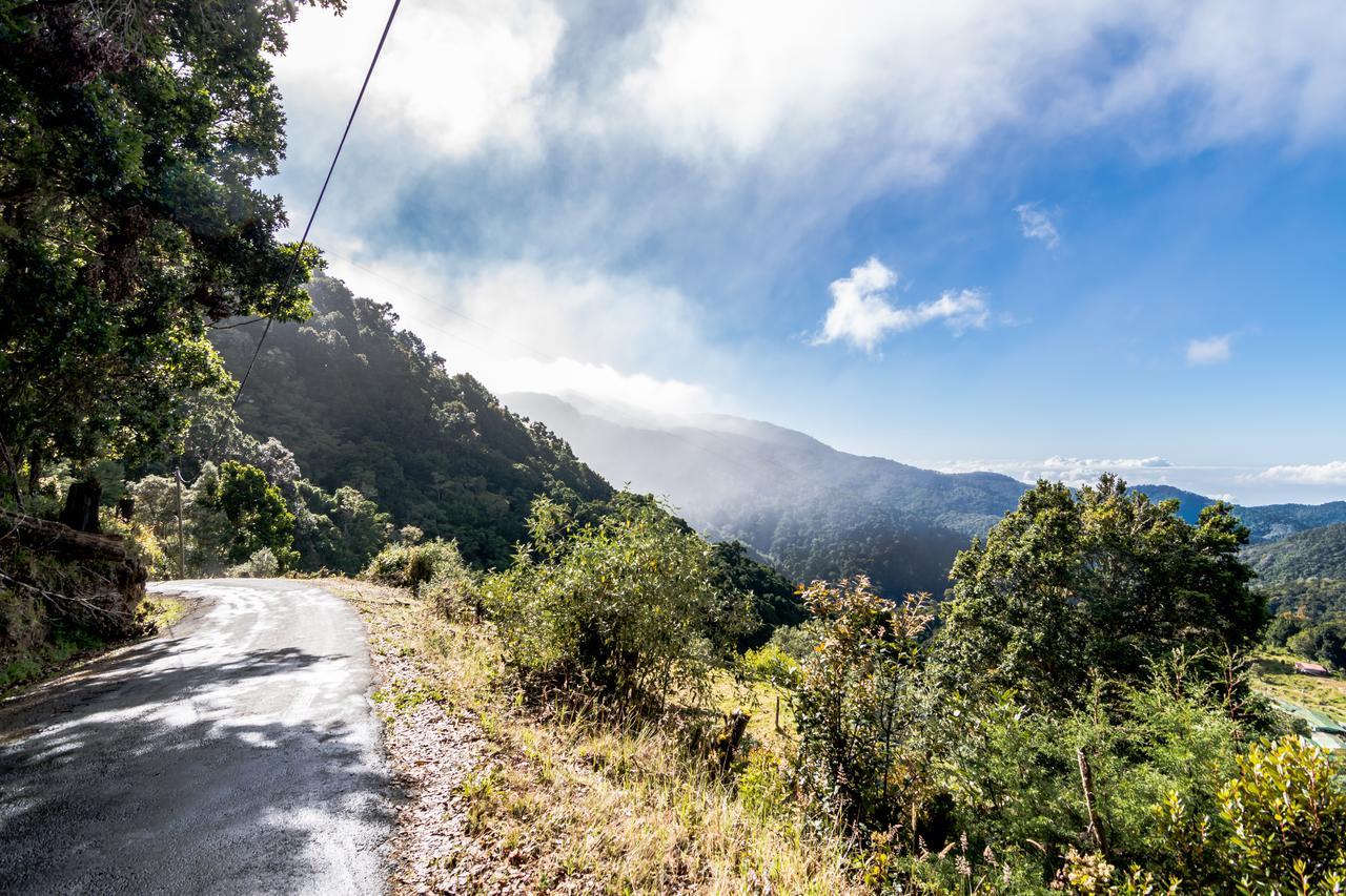 Sueños del Bosque Lodge San Gerardo de Dota Exterior foto