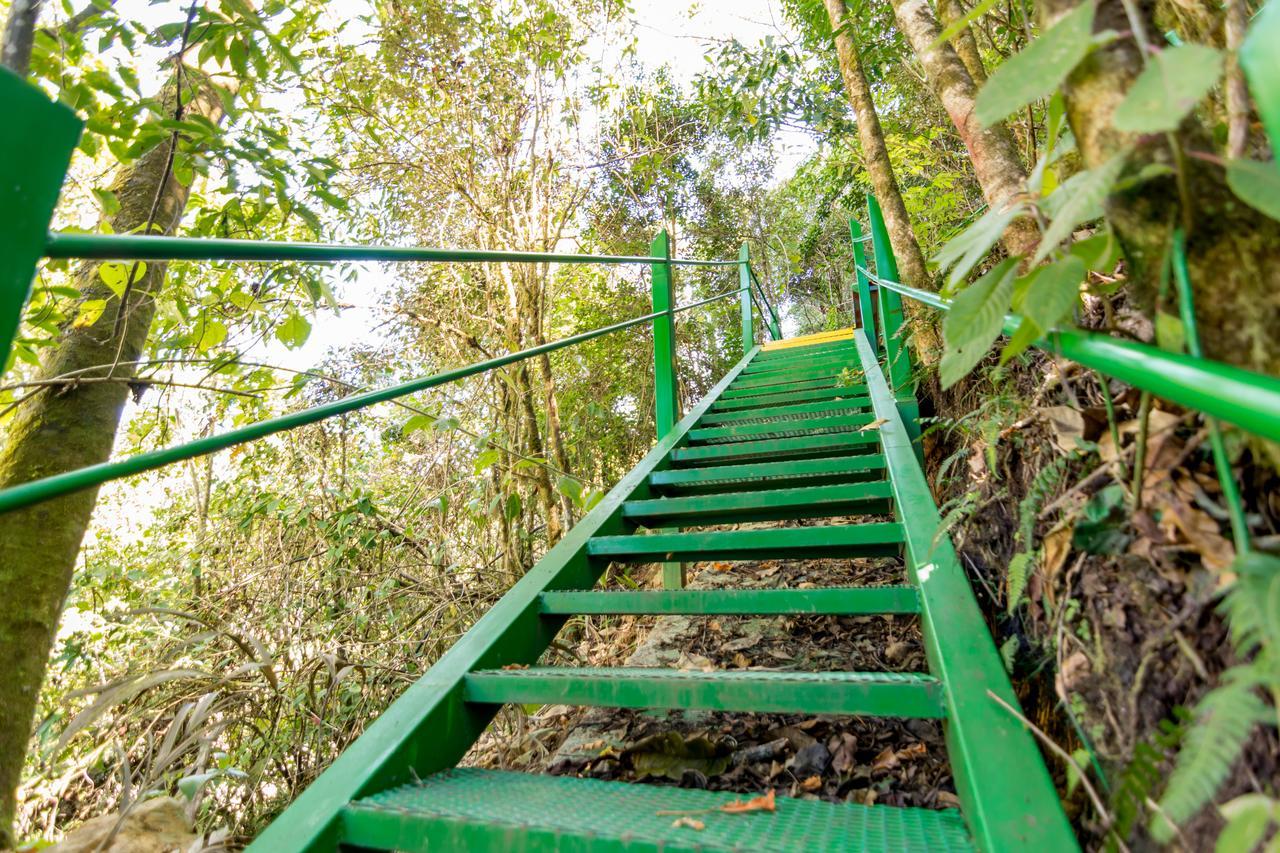 Sueños del Bosque Lodge San Gerardo de Dota Exterior foto