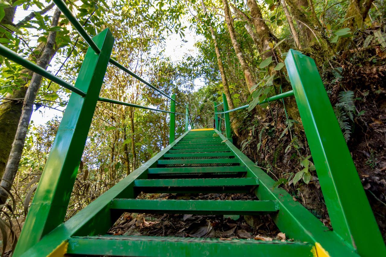 Sueños del Bosque Lodge San Gerardo de Dota Exterior foto