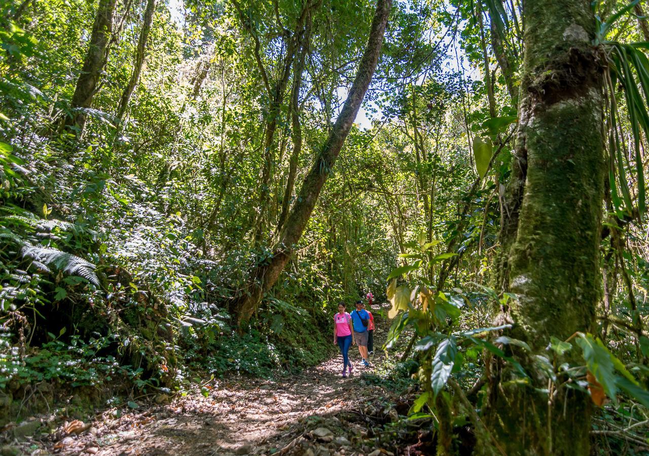 Sueños del Bosque Lodge San Gerardo de Dota Exterior foto